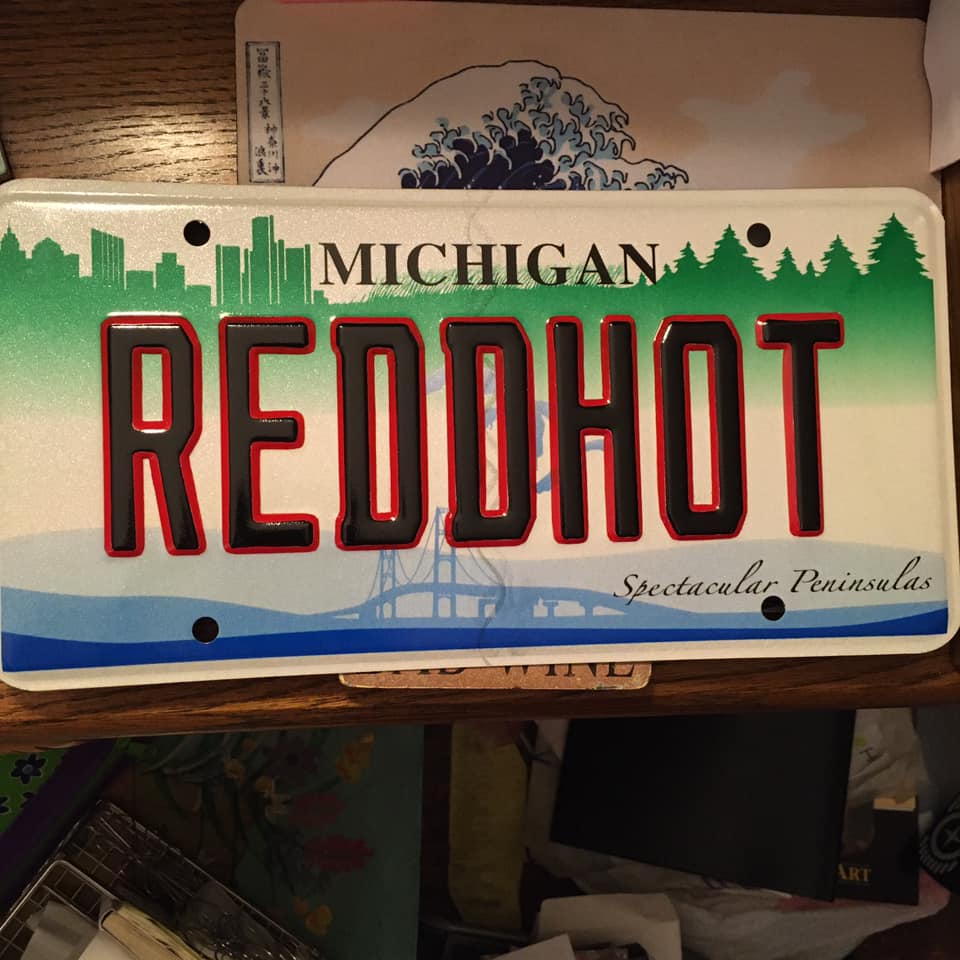 painted license plate by Julie Fournier